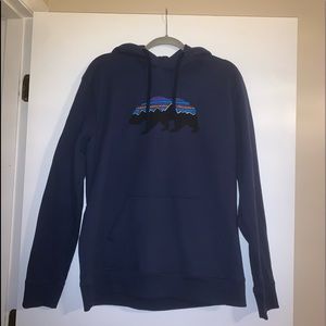 Mens Patagonia Hoodie